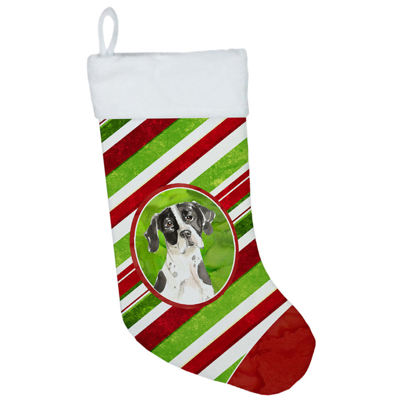 Chaussette de noël à rayures à sucre, Pointer anglais