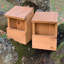 Wooden Robin Mounted Bird House