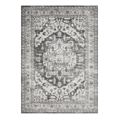 Raghdah Oriental Indoor Rug