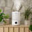 Levoit 0.65 Gallons Cool Mist Ultrasonic Tabletop Humidifier with Adjustable Humidistat for 290 Cubic Feet