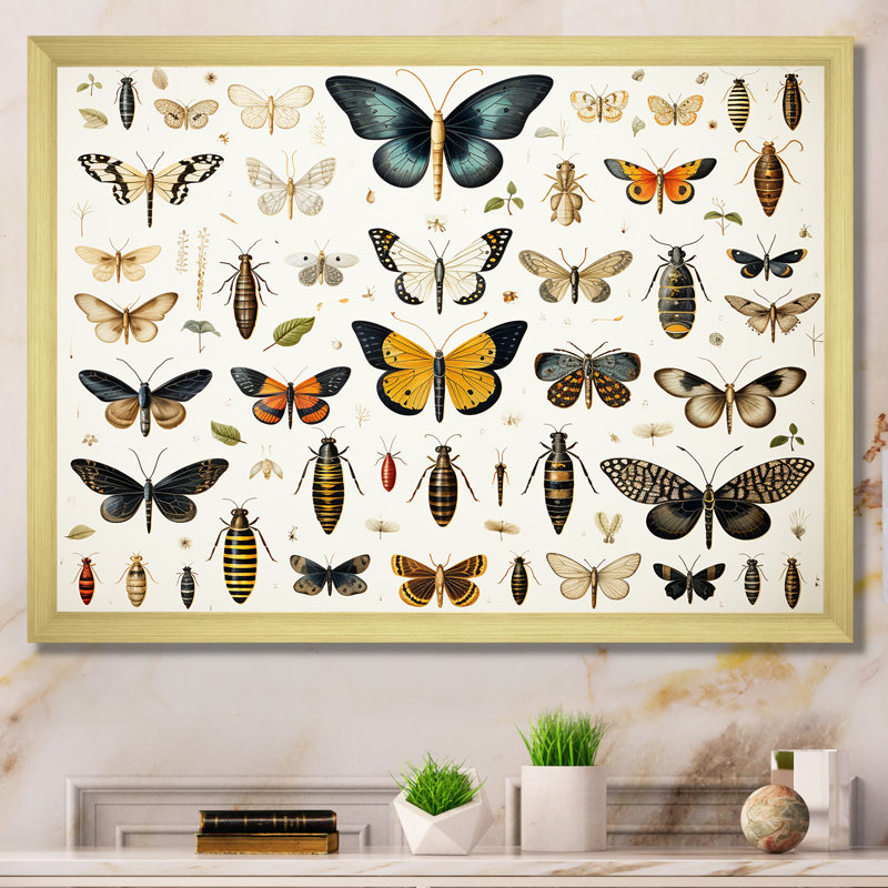 Insectes et insectes jaunes et bleus - Insectes et insectes muraux, Cadre doré à coins fermés, H 16 po x l 32 po x P 1 po