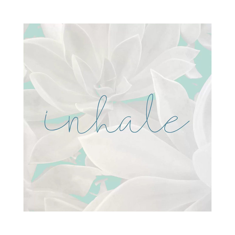 Inhale 1 Piece Wrapped Canvas Wall Art, 45.72 cm H x 45.72 cm W