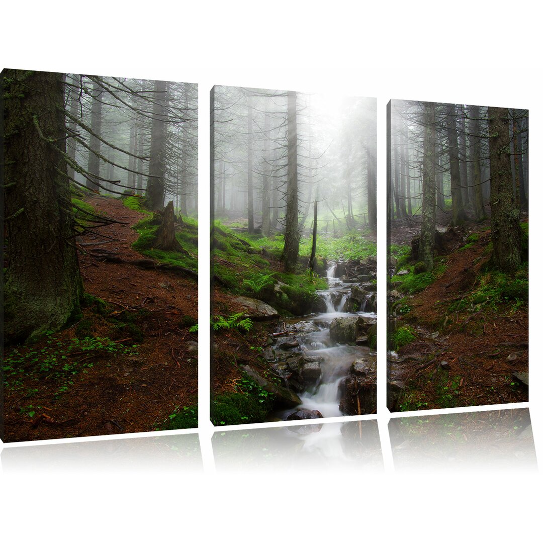 3-tlg. Leinwandbilder-Set Bach im Wald, Fotodruck