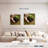 Senne New Seedling Sprouting-109215257