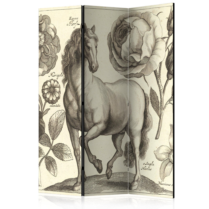 135cm W x 172cm H 3 - Panel One Sided Room Divider Folding Room Divider