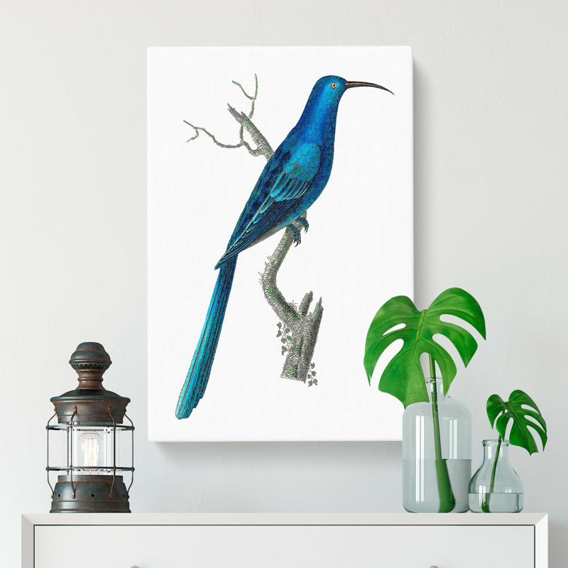 Blue Sugarbird by George Shaw - Wrapped Canvas, 60cm H x 40cm W x 3cm D