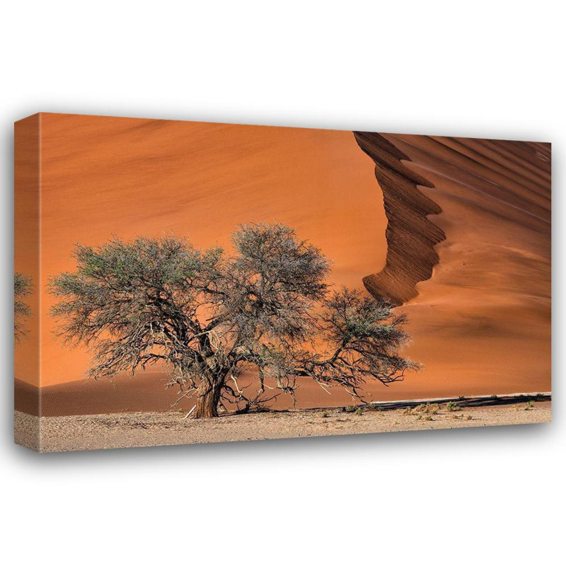 Art sur toile tendue avec Alcott Hill® Ruoppolo, Luigi Gallery: Acacia In The Desert, H 28 po x l 40 po