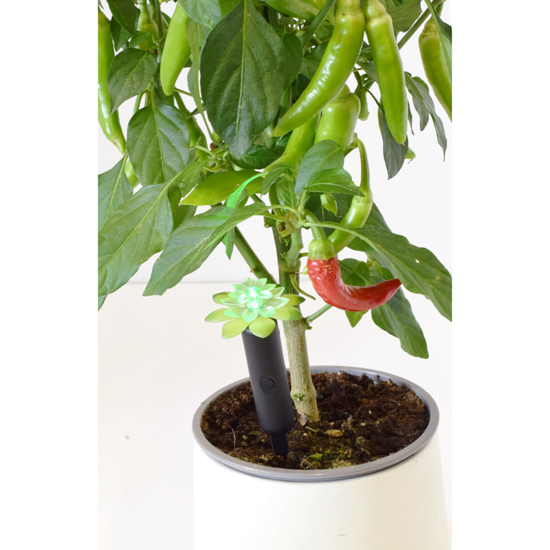 Trousse d'alarme de capteur d'humidité pour plantes - Comprend des alarmes standard et hautes primées pour un arrosage précis au niveau des racines