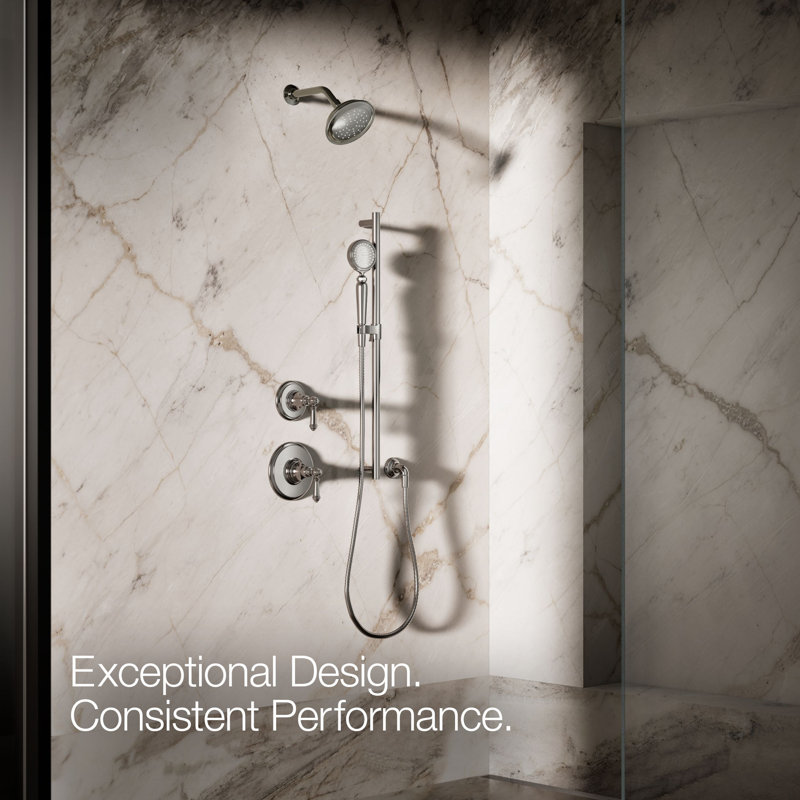 Artifacts Full/Standard Handheld Shower Head with Katalyst Air Induction Spray, Vibrant Titanium