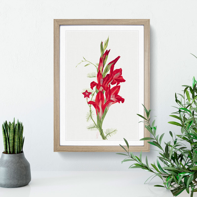 Cannas and Cypress Vine by Mary Vaux Walcott - Picture Frame Painting, 65cm H x 48cm W x 2cm D, Oak Framed