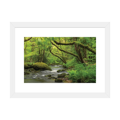 «Fairytale Forest» par Adam Burton - reproduction de photo