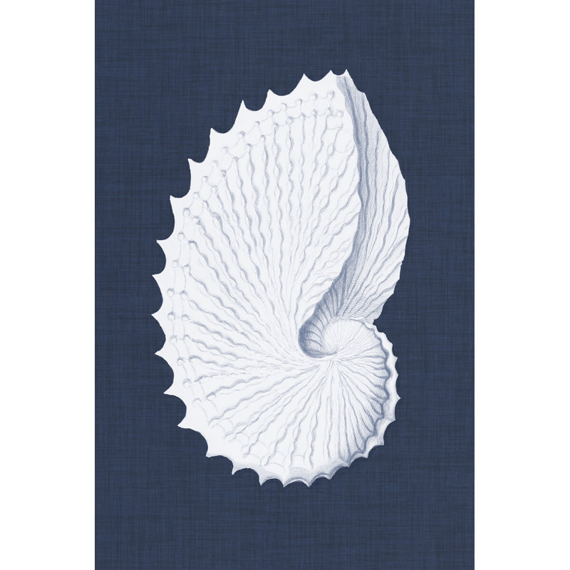 Coquillages Blancs V by Vision Studio - Wrapped Canvas Graphic Art, 122 cm H x 81 cm W, Wrapped Canvas