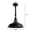 Schwarz 1 - Light Dome Pendant