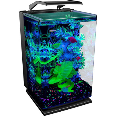 Aquarium Kit Fish Tank With LED Lighting And Filtration Included