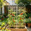 70.97 Ft. H x 39.98 Ft. W Galvanized Steel Gate with