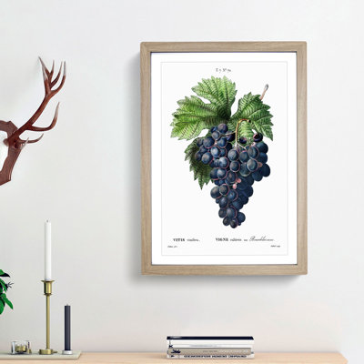 Blue Grapes by Pierre-Joseph Redoute - Framed Print