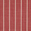 Salsa Stripe; 0210-21