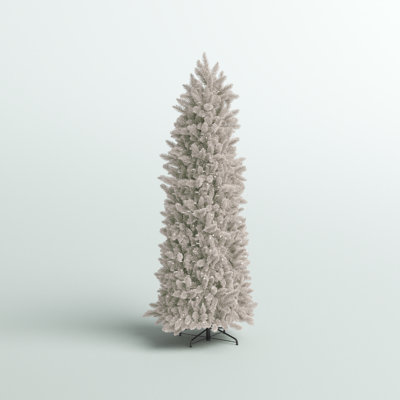 Lighted Christmas Tree