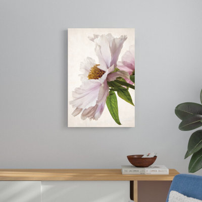 " Translucent Peony IV " by Debra Van Swearingen