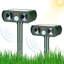 Projecteur DEL vert à énergie solaire