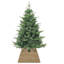 Seagrass Tree Collar