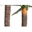 180cm Faux Yucca Plant in Pot