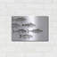 «Highland Dunes» «Variety of Fish I» par Cindy Jacobs, art mural en métal-1179068979