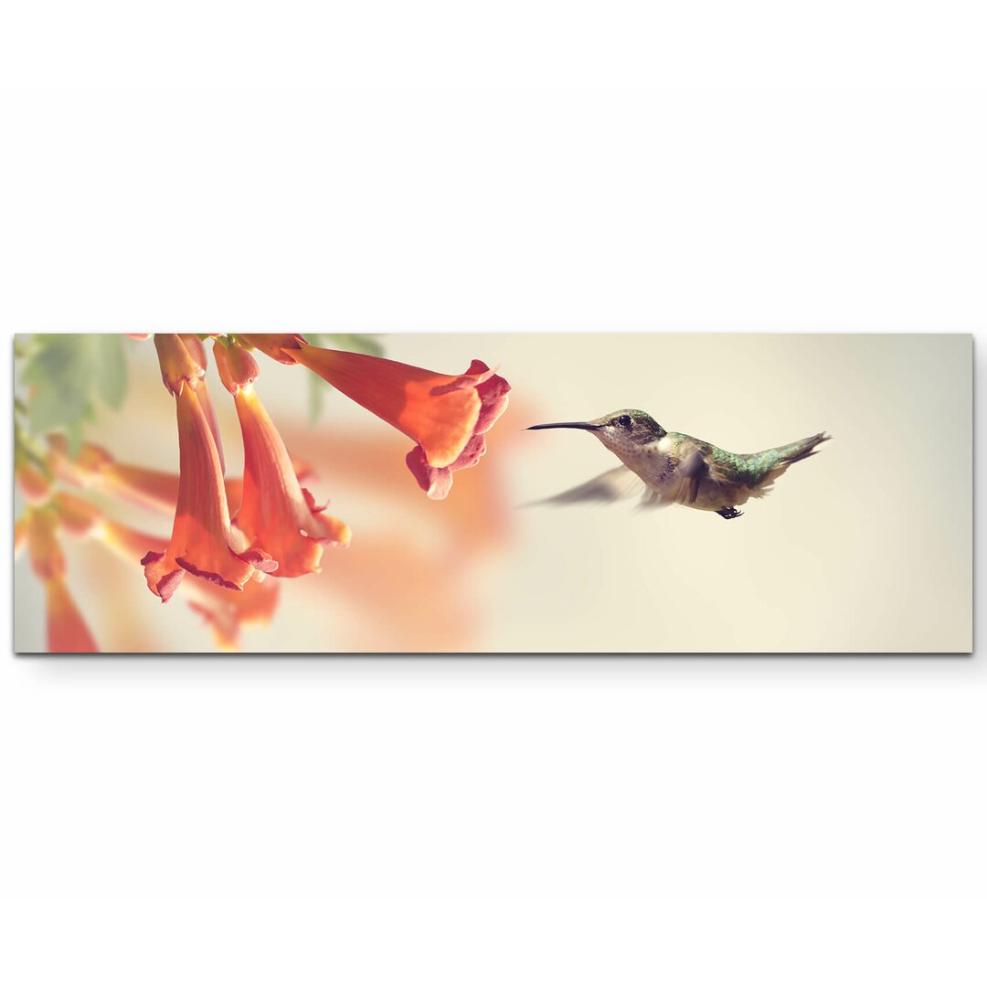 Leinwandbild Kolibris an einer Blume