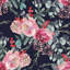 Caiomhe Matte Mural-721619254