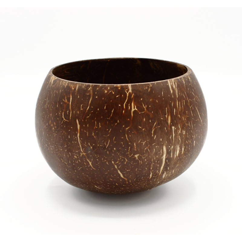 Elyon Handcrafted Large Coconut Bowl Dinnerware Set With Utensils