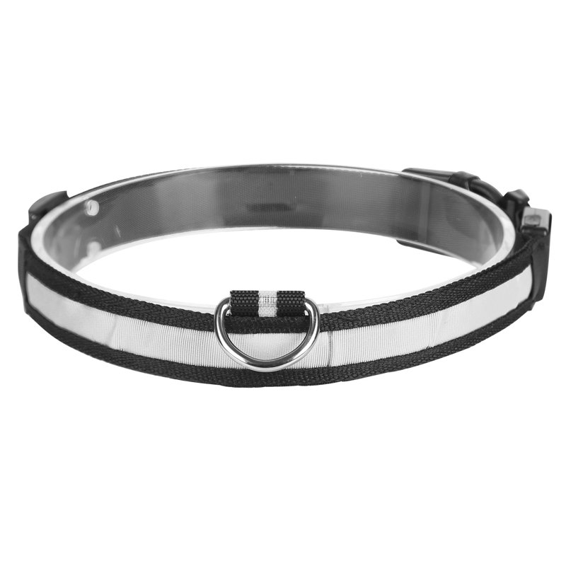 Dog Collar