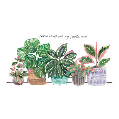 Happy House Plants I 1 Piece Wrapped Canvas Painting