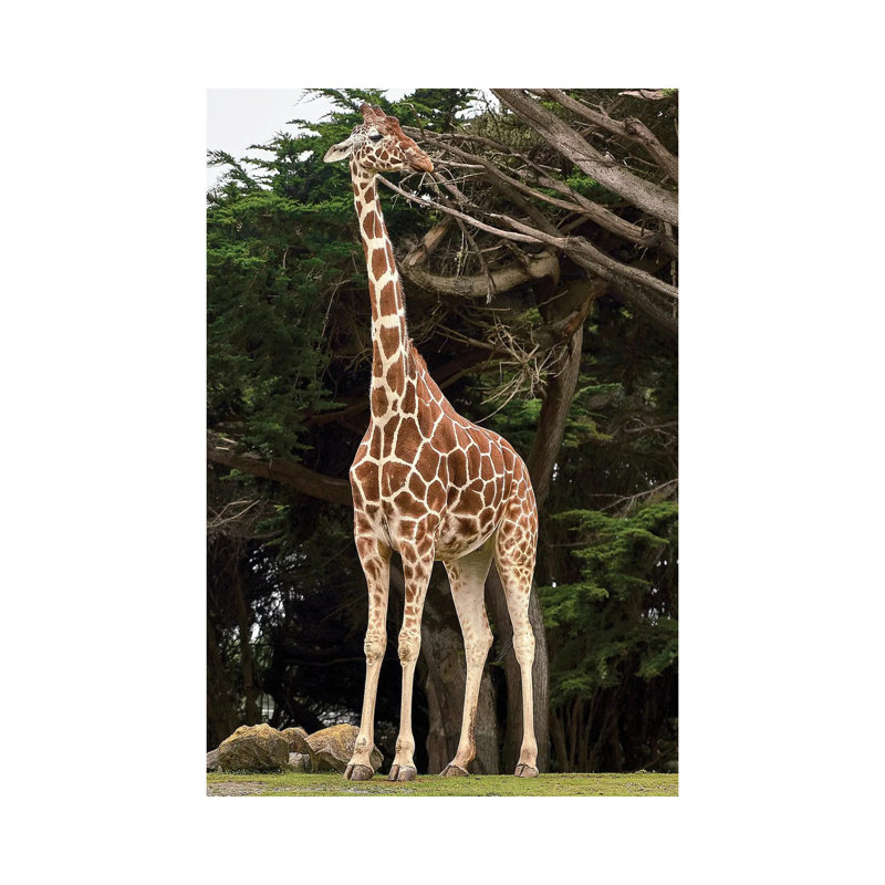 Girafe I par Nikita Abakumov - Giclée sur toile tendue avec châssis, H 18 po x l 12 po x 1,5 po