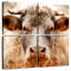 Mighty Bull-109032636
