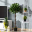 120cm Faux Evergreen Tree in Cement Pot