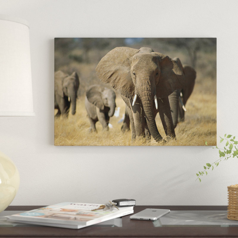 «African Elephant Group, Vulnerable, Samburi National Reserve, Kenya» par Gerry Ellis - reproduction d'art numérique sur toile tendue