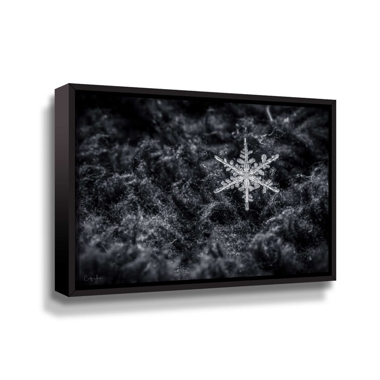 The Holiday Aisle® Snowflake Macro 3 On Canvas Print | Wayfair