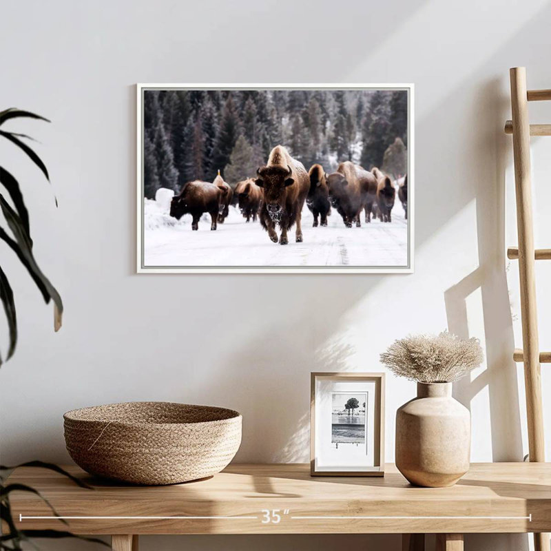 Winter Bisons, 19" X 13", Floating Frame White