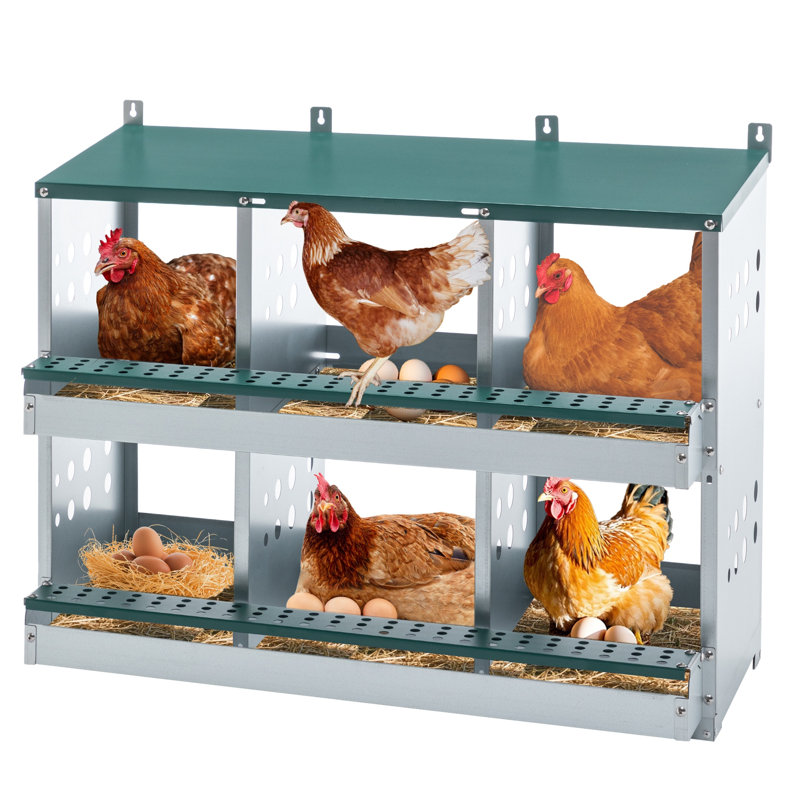 6 boîtes de nidification de poulets à 6 compartiments, boîtes de nidification murales en métal pour différentes races de poules