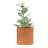 Stoneware Planters-2055859338-2063804706