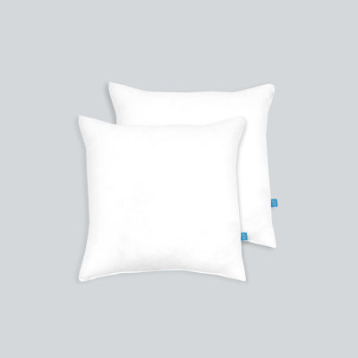 Karin Maki Microfiber Throw Insert Decorative Filled Soft & Fluffy Square Pillow For Sofa Bed And Couch Set Of 2