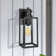 Citlali Aluminum Wall Light With Dusk to Dawn and Motion Sensor