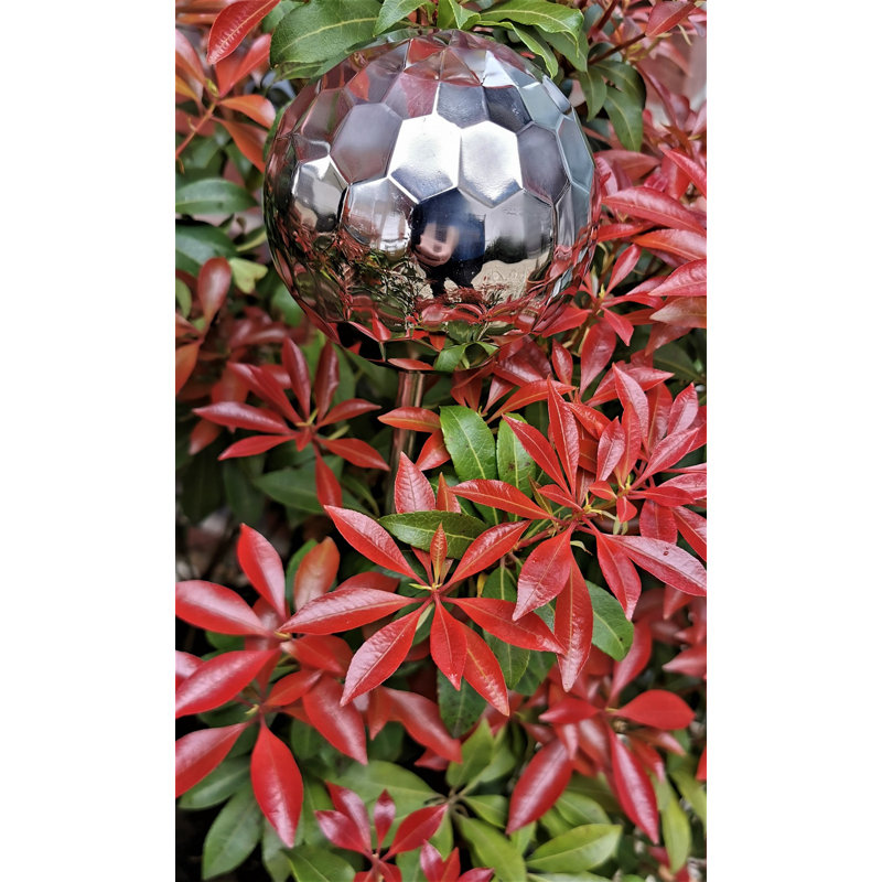 Celsino Stainless Steel Gazing Ball, 1, 90cm H x 10cm W x 10cm D
