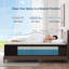Matelas hybride mi-ferme 14 po avec mousse à mémoire de forme et ressorts ensachés, matelas dans une boîte-431244429-431244417