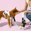 Harnais pour animal de compagnie Arlo-112400892