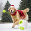 Jouet pour chien Interactives