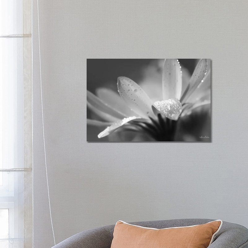 Daisy by Lori Deiter - Wrapped Canvas Print, 66.04 cm H x 45.72 cm W x 1.91 cm D