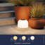 Kettle 36, Pendant Light