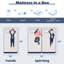 Matelas de canapé-lit simple infusé au charbon de 10 po Alwyn Home Herrings
