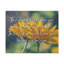 His Face Shine Numbers 6:25-26 - Wrapped Canvas Print-1013241779